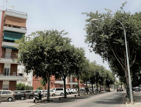El Ayuntamiento de Sevilla aprueba la reurbanización del barrio de Tablada presentada por Defensa. Asociación de Vecinos Barriada de Tablada