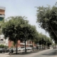 El Ayuntamiento de Sevilla aprueba la reurbanización del barrio de Tablada presentada por Defensa. Asociación de Vecinos Barriada de Tablada